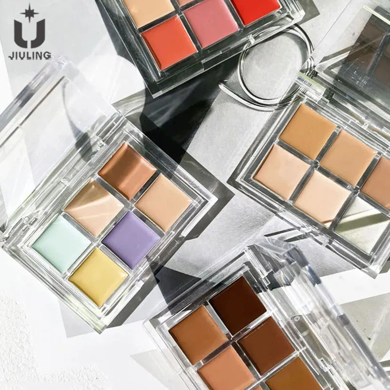 6 Color Concealer Palette
